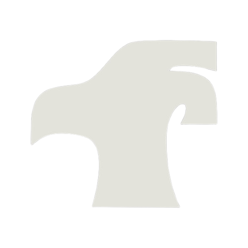 Logo LICS